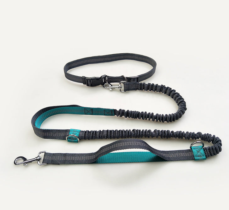 Free hands dog leash - E-DEALSSHOP.COM 