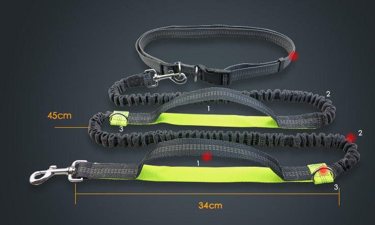 Free hands dog leash - E-DEALSSHOP.COM 