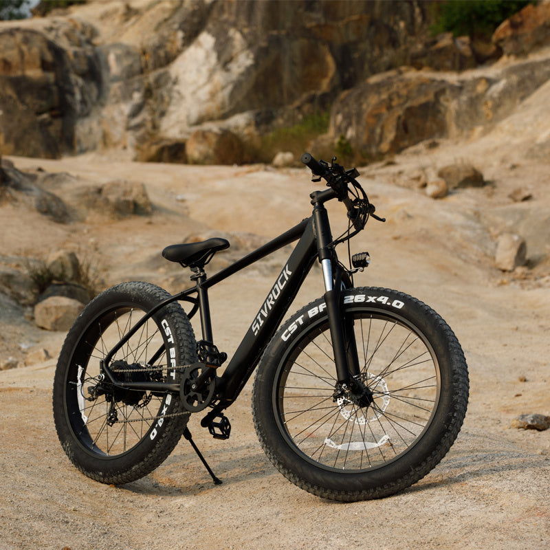 Professional E-Bike For Adults, 26 X 4.0 Inches Fat Tire Mountain $1,599 NOW $1,399  HOT DEAL 🔥